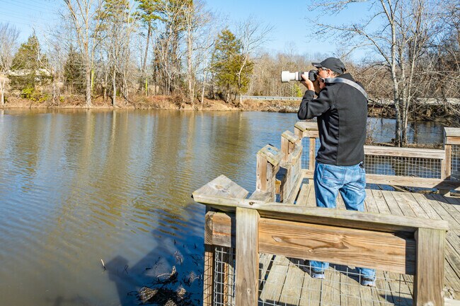 Company Mill Preserve's overlook in Climax is a beloved birding spot.