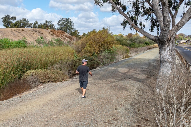 The trails of Barlett Park are popular amongst the locals for quiet walks.