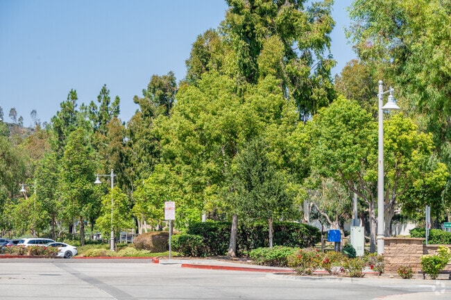 Tustin Ranch neighborhoods and parks are flush with tall mature trees.
