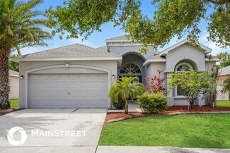 10724 Carloway Hills Dr, Wimauma, FL 33598