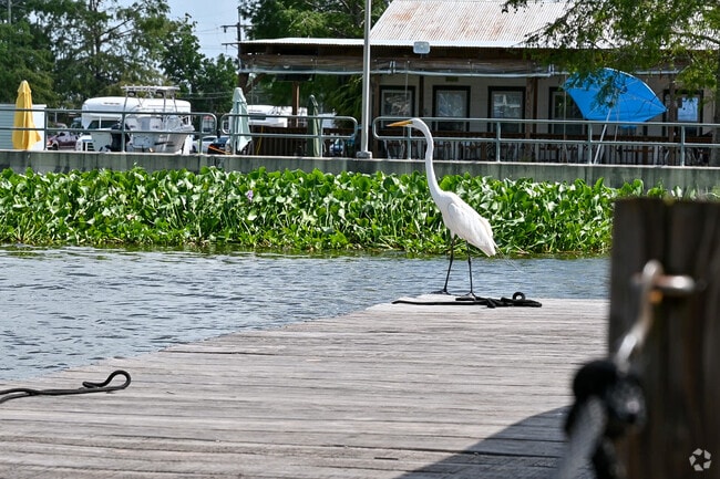 Wildlife sightings are common around Westbank’s green spaces.