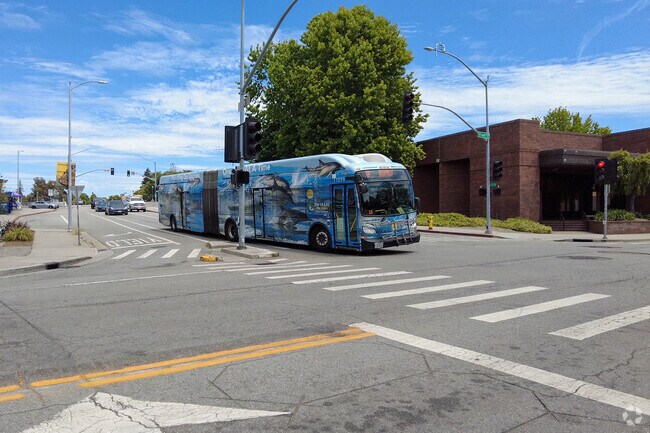 Public transit in Upper Seabright is convenient and eco-friendly, featuring vibrant bus art.