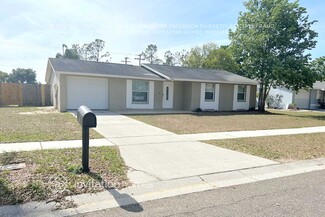 808 Kirkcaldy Way, Valrico, FL 33594