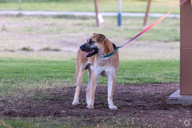 Mesquite Ranch parks provide pet-friendly spaces for local dog owners.