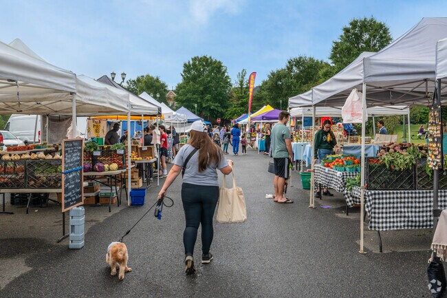 Stroll through the West End Farmers Market in Ben Brenman Park.