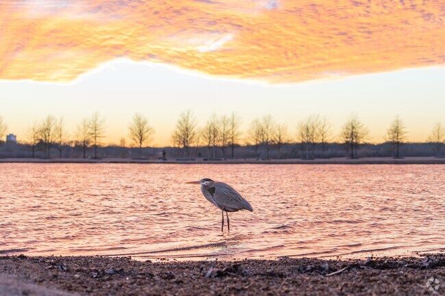 Shelby Farms is the perfect place to connect with nature in an urban environment.