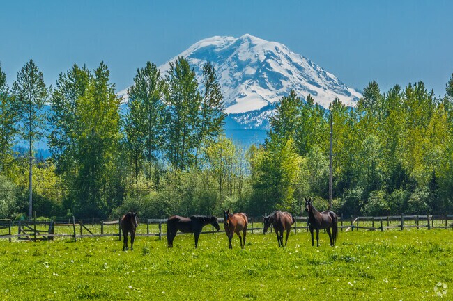 You don't have to go far before you catch amazing views like this in Wabash.