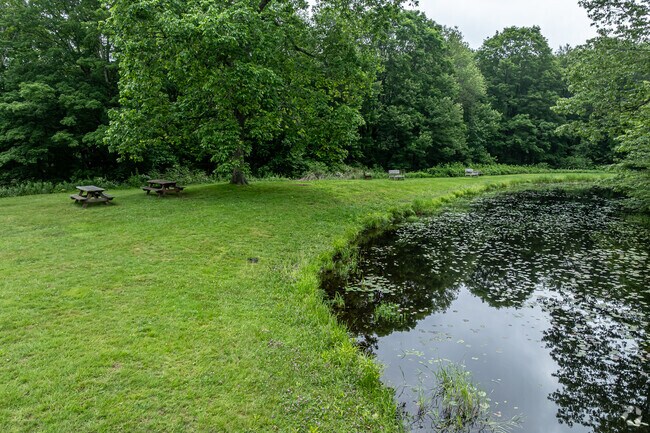 Harwinton Conservation Area has trails, a playground, and a scenic pond for outdoor fun.