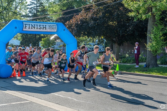 Runners and dogs take off during the annual Lilac Mutt Strut in North Lombard.