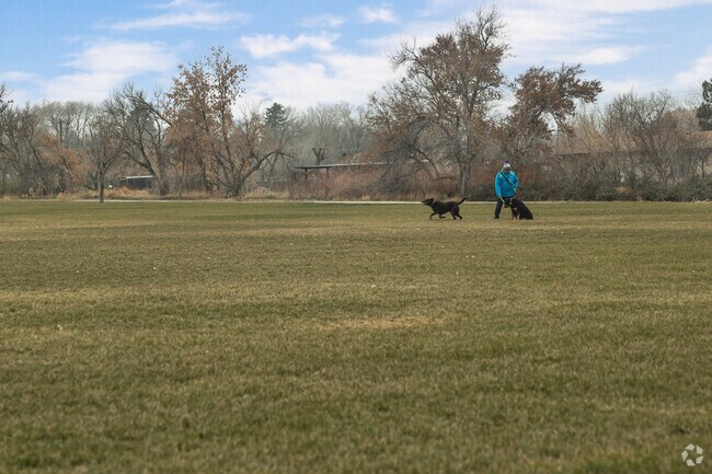 Dogs play fetch with their owner at Gary C. Jensen Valley Regional Park in Taylorsville.