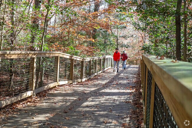 Hikers enjoy Congaree National Park's many scenic trails.
