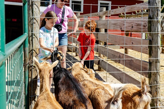 Ferson Creek's kids and goats enjoy feeding time at Primrose Farm.