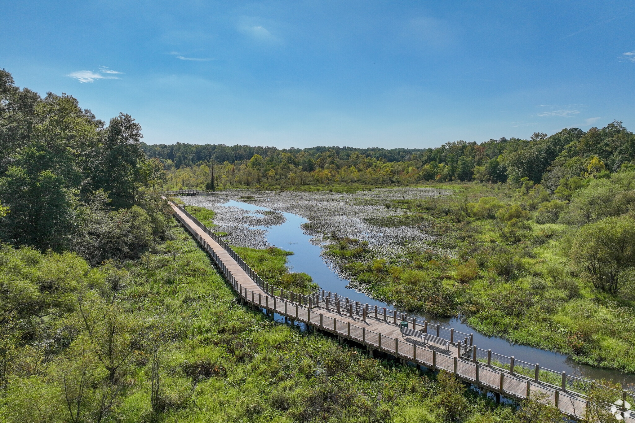 About Tuckahoe Village Schools, Demographics, Things to Do