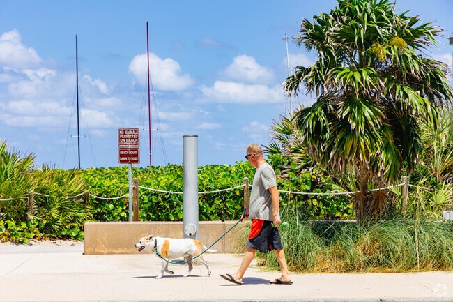 Locals  take leisurely strolls with furry friends along the pathways of Gulf Stream.