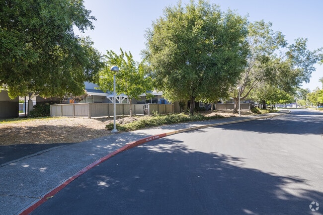 Canyon Oaks Elementary's green garden project teaches kids about sustainability firsthand.