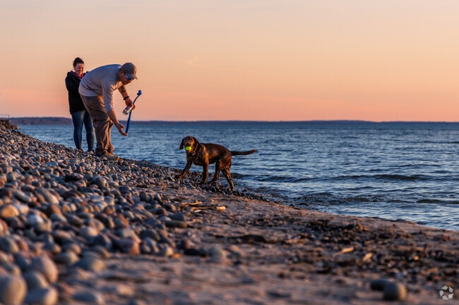 A couple plays fetch with their dog in the water at Sandy Island Beach State Park.
