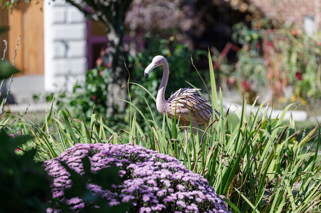 Residents in Herring Run follow the unstated rule of the Pink Flamingo in Baltimore.
