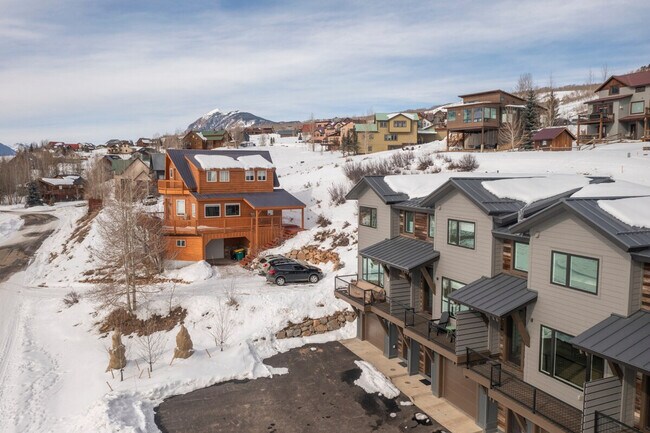 85 Haverly St unit ID1288029P, Crested Butte, CO 81224 - photo 5