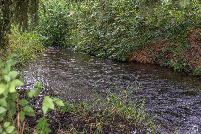 Burnt Bridge Creek trickles through the Oakbrook, Vancouver neighborhood.