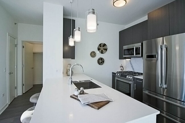 456 N Park Dr, Chicago, IL 60611 - photo 6