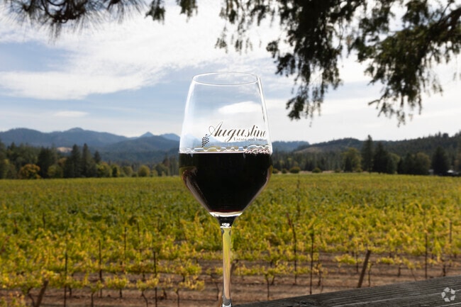 Take a break on the weekend and visit Augustino Estate Treehouse in O'Brien.