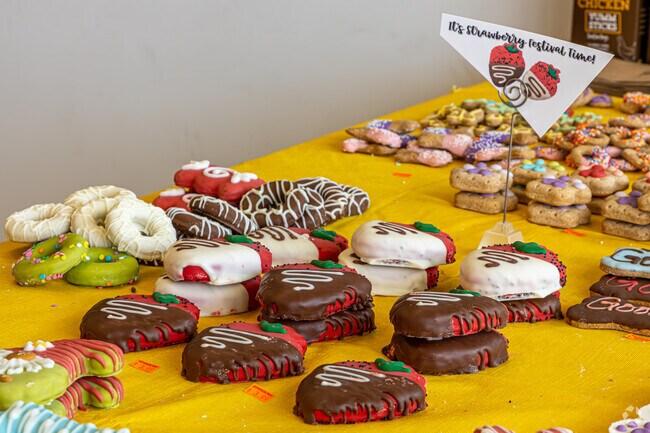 Jefferson Feed in Whitney-Cecile offers handmade dog treats, ensuring pets enjoy the same Southern hospitality as their owners.