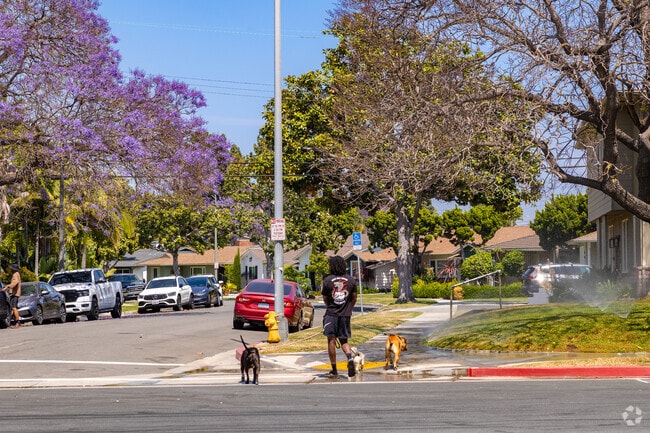 Bixby Knolls is a great place to take your dogs for a walk around the neighborhood.