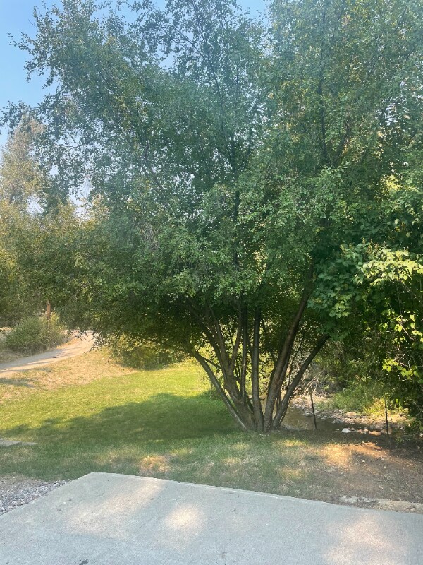 33 E Inman Rd, Inkom, ID 83245 - photo 4