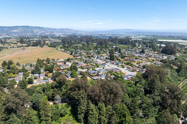 Corralitos offers peaceful rural living with large lots, redwood forests, and a strong sense of community.