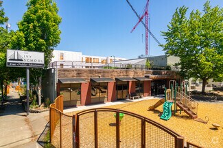 The Ivy School