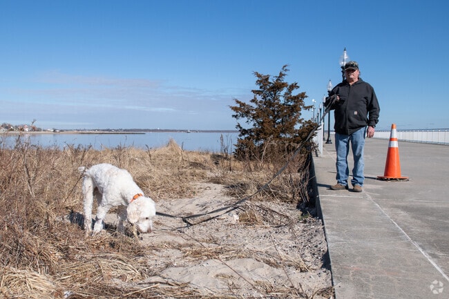 Fort Rodman is a beautiful park and offers space for dogs to sniff and walk along the paths.