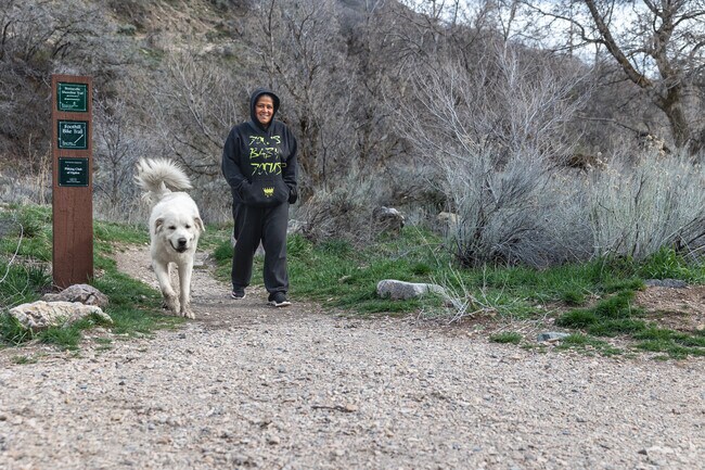 A woman enjoys hiking with her dog at 29th Street Trailhead near West Haven.