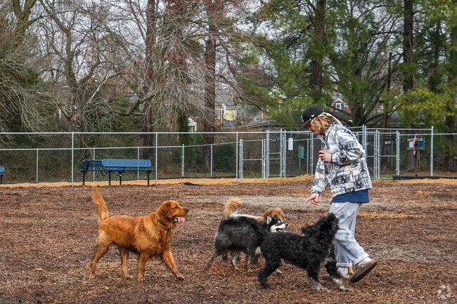 River Road Dog Park is a great spot to take the pups to burn a little energy.