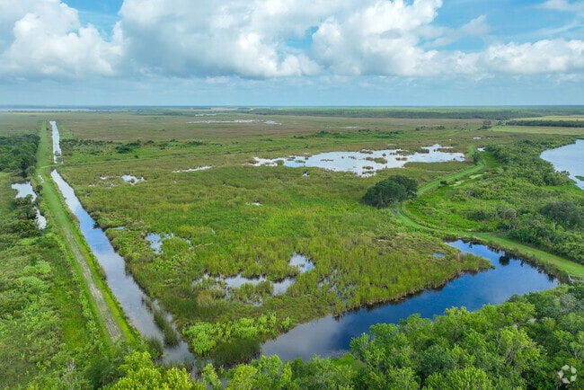 Daisy Lake sits right alongside The Lake Woodruff National Wildlife Refuge.