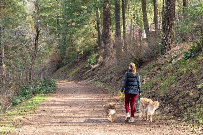 Residents often take their dogs on walks through the Town and Country neighborhood.