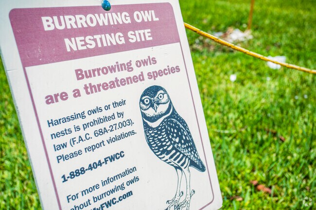 Help residents in Westwood Community South in Coral Springs, Florida bring the burrowing owls out of the endangered species list!
