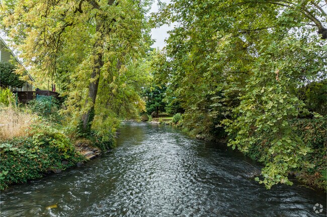 Mill Creek is lined with trees as it meanders through the Northeast Neighbors neighborhood.