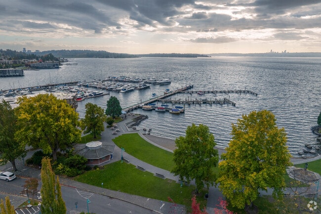Aerial view of Marina Park Beach near Everest in Kirkland.