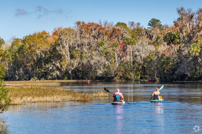 Become one with nature during the 6 mile journey on the Rainbow River in Dunnellon.