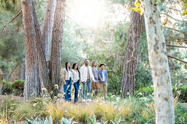 The Oso Creek Trail in Mission Viejo is a scenic walk with mature trees and native plants.