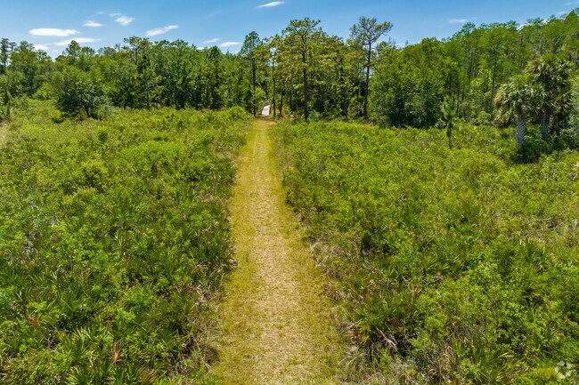 Cypress Creek Preserve has miles of trails to immerse yourself in Florida's Natural landscape.