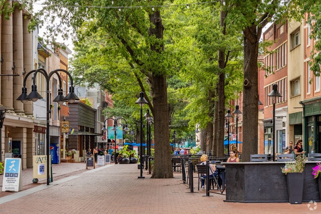 Take a quick trip to the Downtown Mall from River Run.