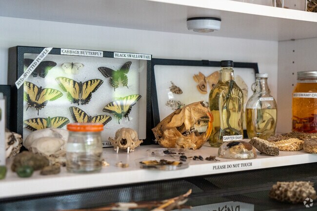 Inside the Nature Center at Lake Roland.
