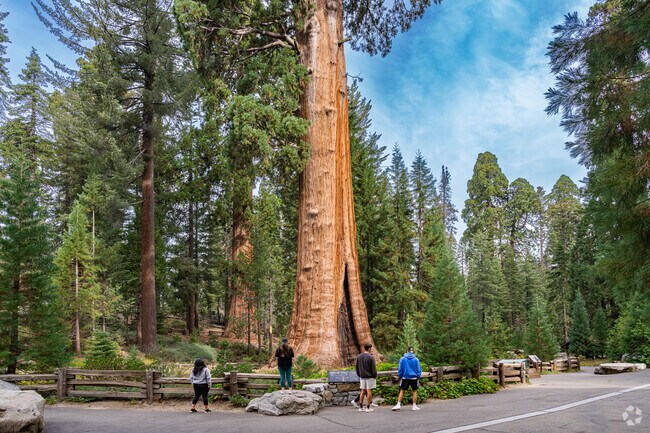Sequoia and Kings Canyon National Park is a popular destination for people around the world.