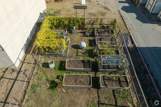 Alameda Science and Tech Institute has a small garden for students to learn about food.