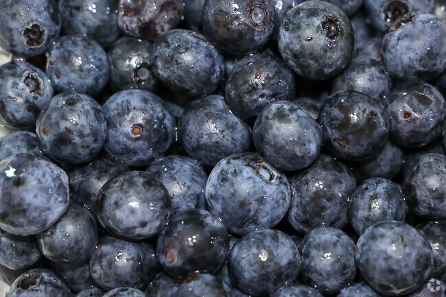 If these Blueberries are tempting you then that means you need to go to Tyler Farmers Market.
