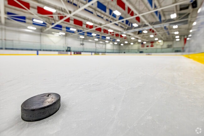Two indoor ice rinks host regular events and programs at the Dearborn Ice Skating Center.