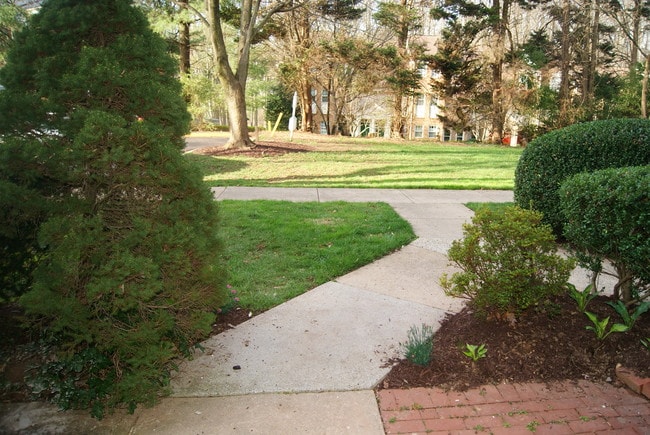 7514 Spring Lake Dr, Bethesda, MD 20817 - photo 3