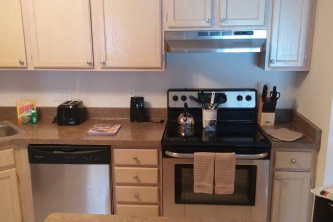 305 Nautilus Dr unit ID1059800P, Madison, WI 53705 - photo 3