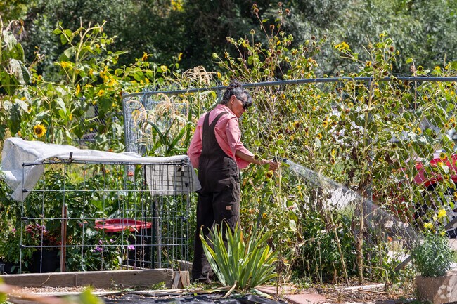 The Second Start Community Garden brings neighbors together in Clark Centennial.